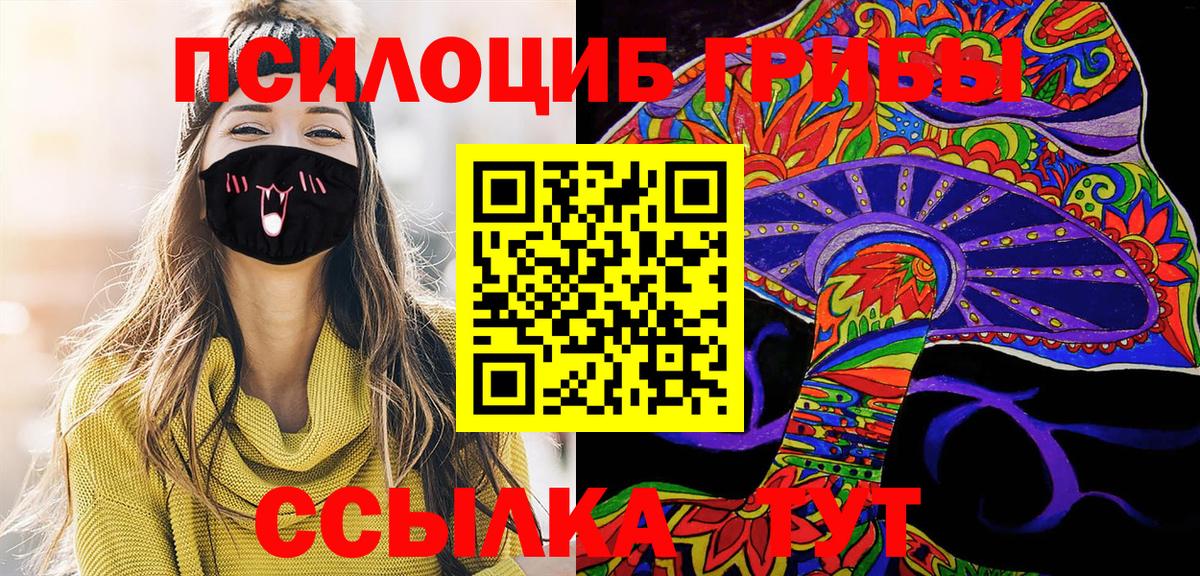 Псилоцибиновые грибы Psilocybe Губаха