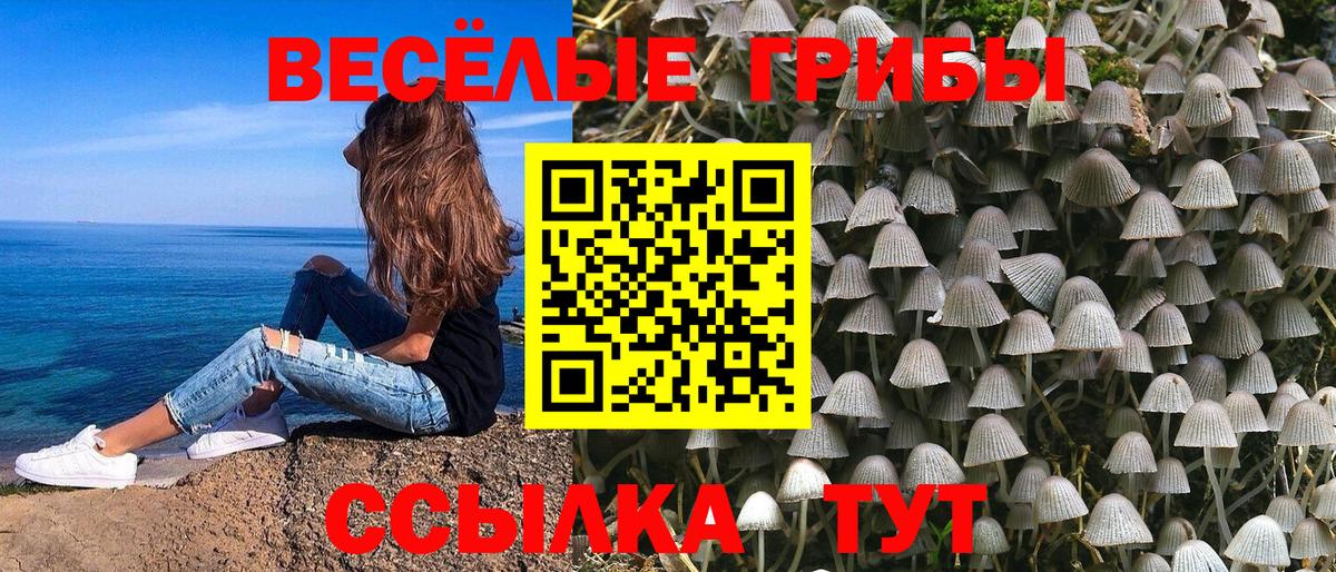 Псилоцибиновые грибы Cubensis  Галлюциногенные грибы Psilocybe  Губаха  Вход с VPN 